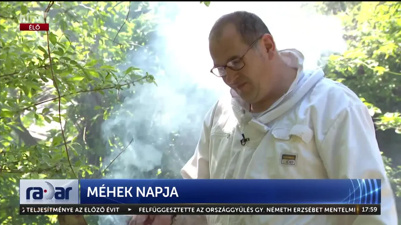 Radar - Méhek napja