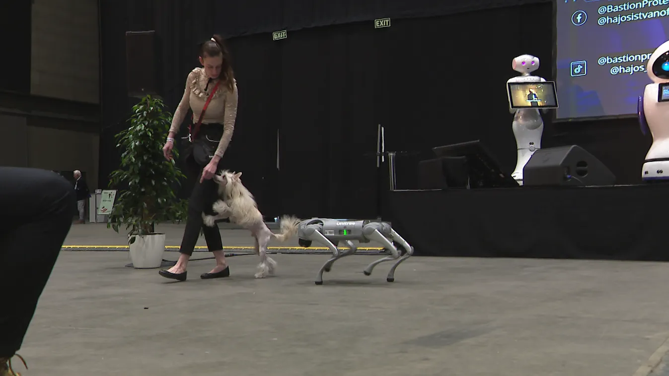 Radar – Robotokkal teli jövő + videó