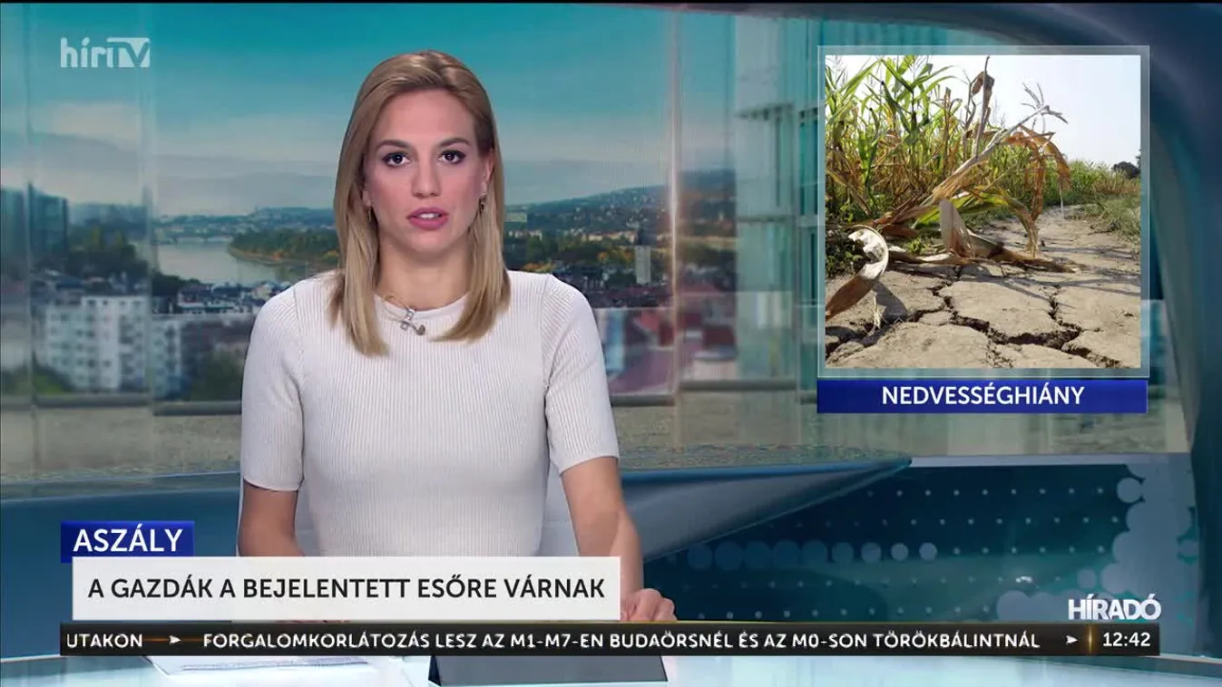 A gazdák a bejelentett esőre várnak