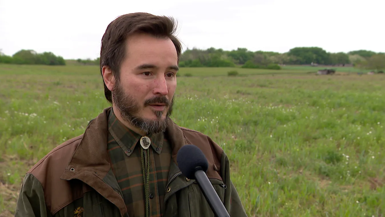 Radar - Harcias ragadozómadarak a nagyvárosokban + videó