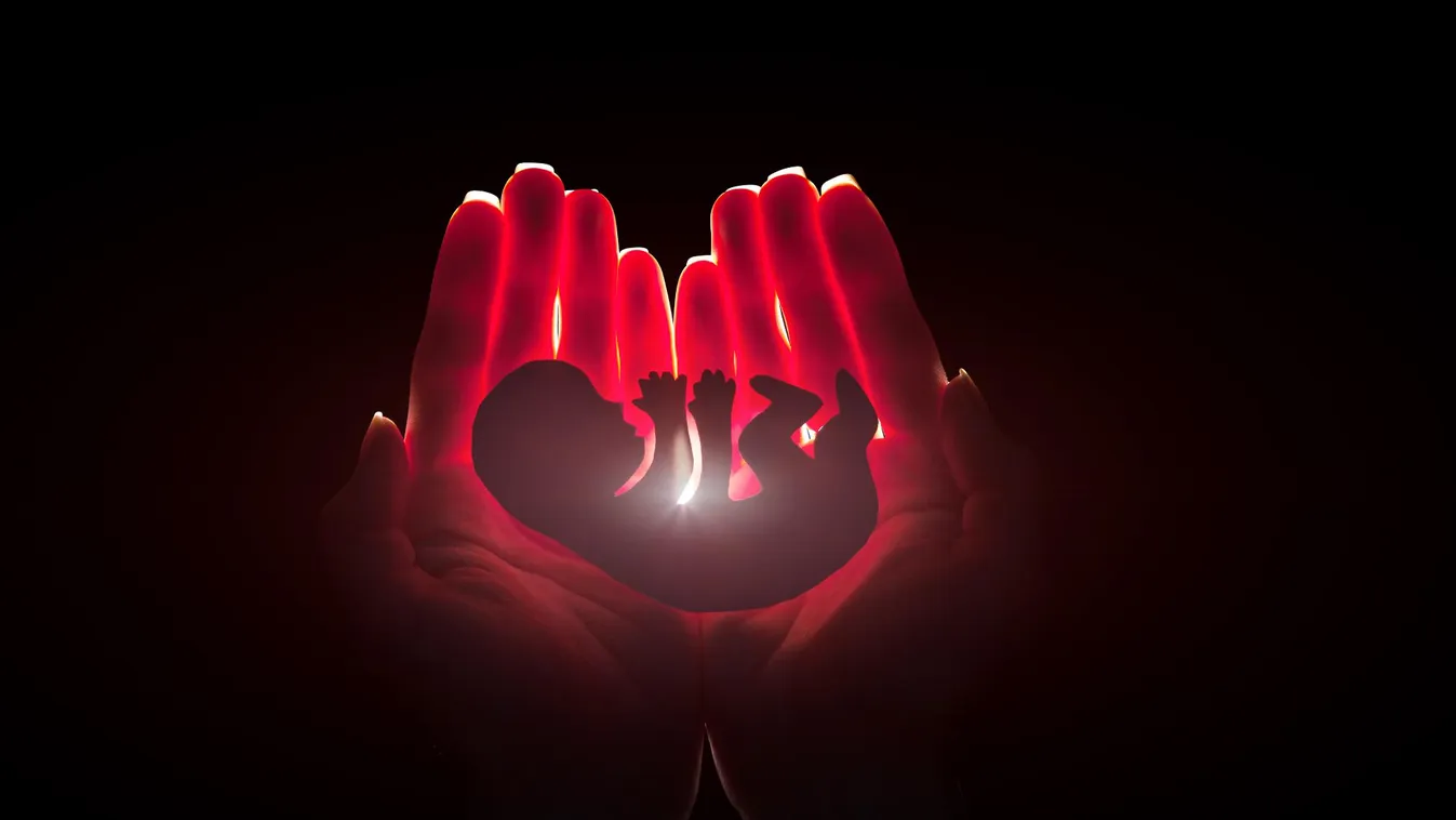 Ezrek tüntettek Varsóban az abortusztörvény liberalizálása ellen