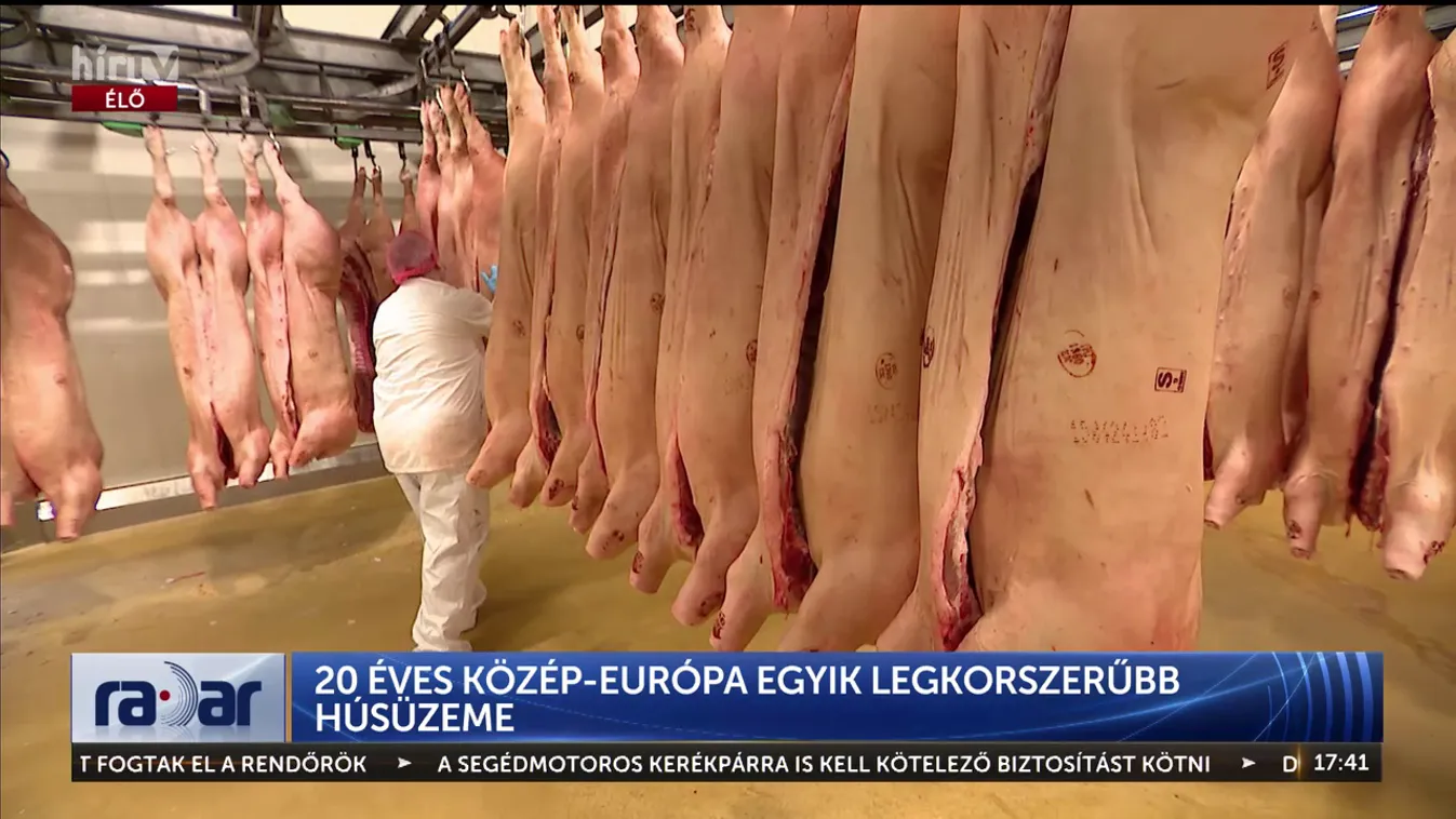 Radar – 20 éves Közép-Európa egyik legkorszerűbb húsüzeme + videó