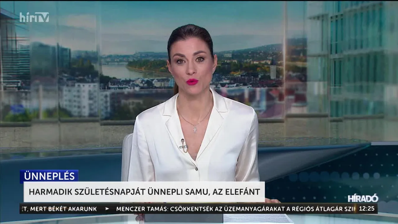 Harmadik születésnapját ünnepli Samu, az elefánt