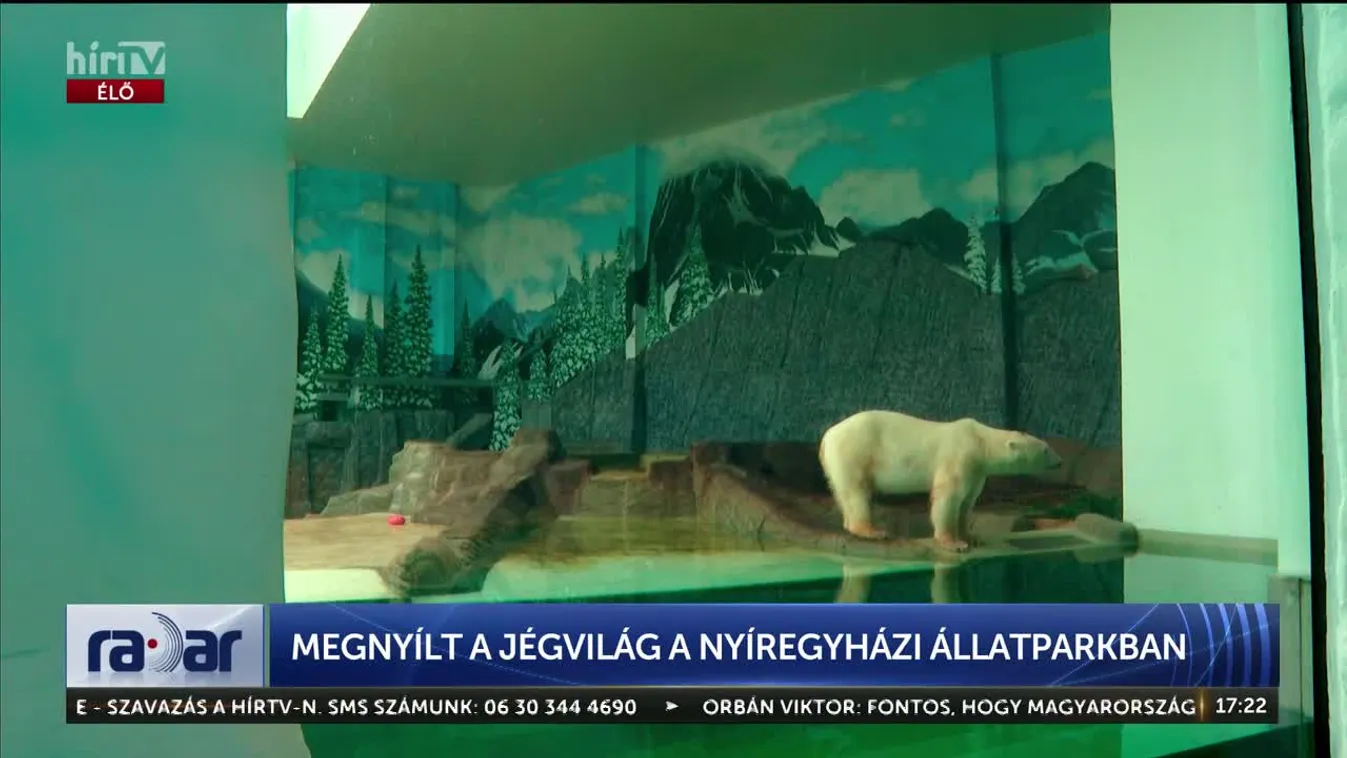 Radar - Megnyílt a Jégvilág a Nyíregyházi Állatparkban