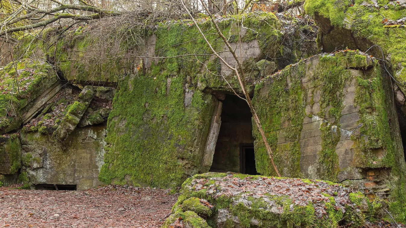 Rejtélyes csontvázakat találtak Adolf Hitler luxusbunkerénél, a Farkasveremnél
