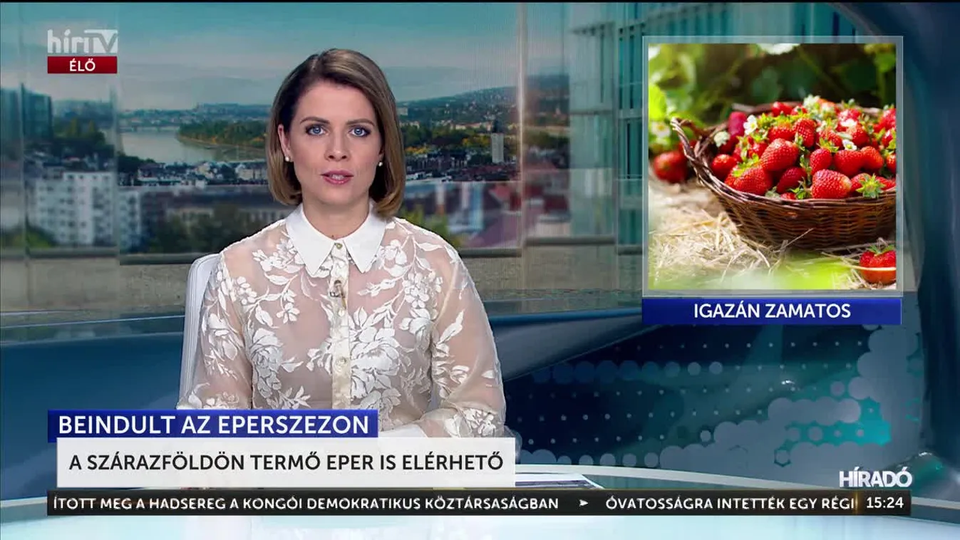 A földön termő eper is elérhető