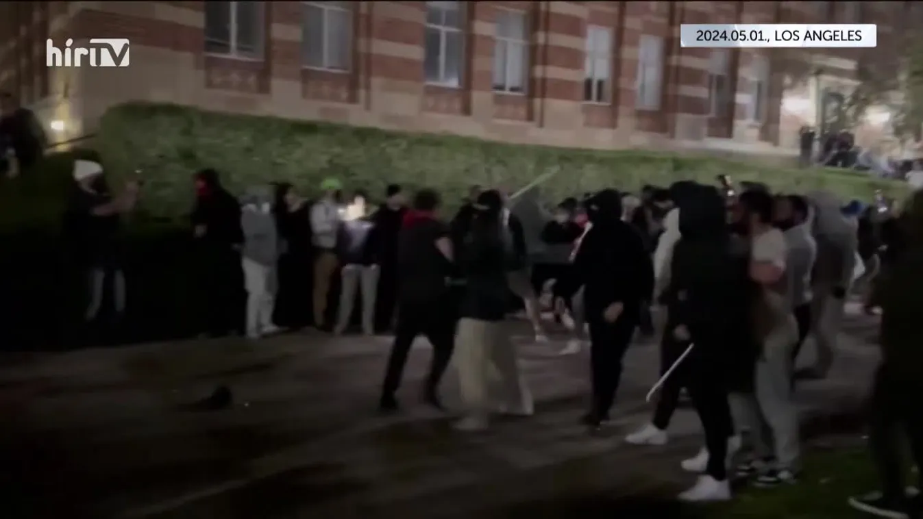 Bayer show (2024-05-05)