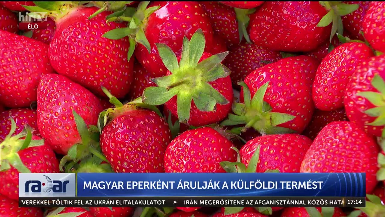 Radar - Magyar eperként árulják a külföldi termést (2024-05-06)
