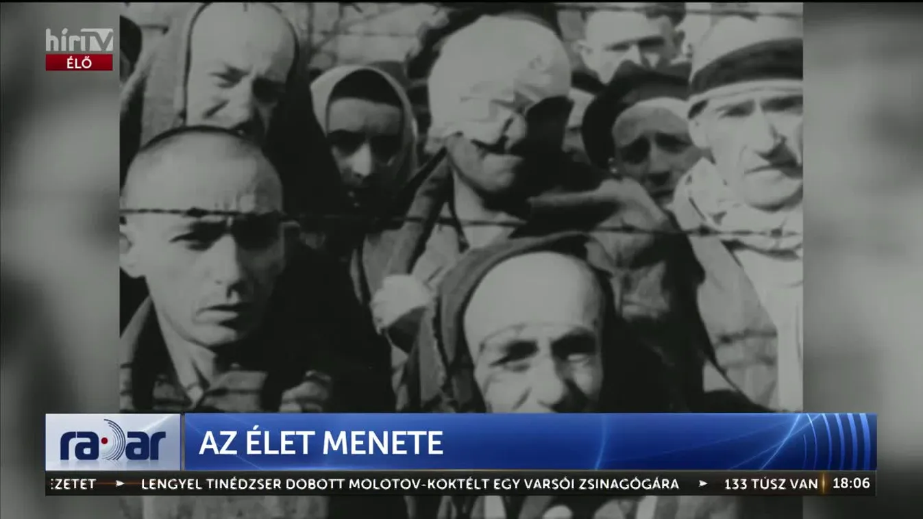 Radar - Az élet menete