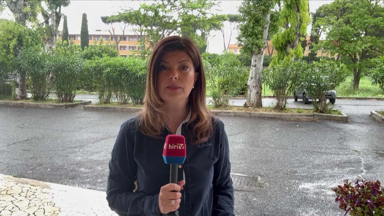 Kisgyermekeket zaklatott egy migráns, a pakisztáni férfi két olasz fiút bántalmazott szexuálisan + videó