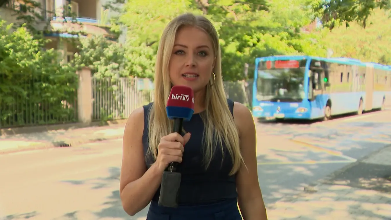 A budapestiek háromnegyede nem hajthatna be autóval a Nagykörúton belüli területre + videó