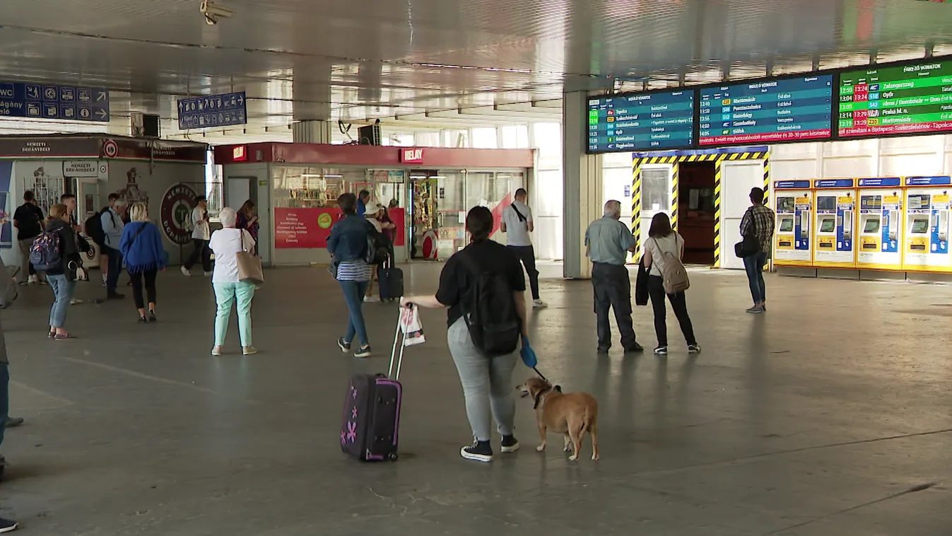 Sűrűbben mennek a vonatok a Balatonhoz + videó