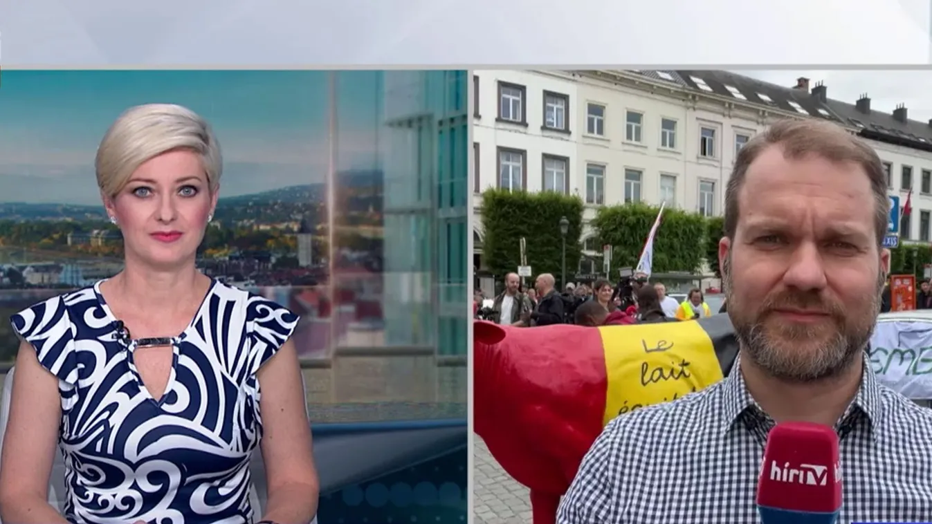 Brüsszel elhibázott politikája miatt demonstálnak a tüntetők + videó
