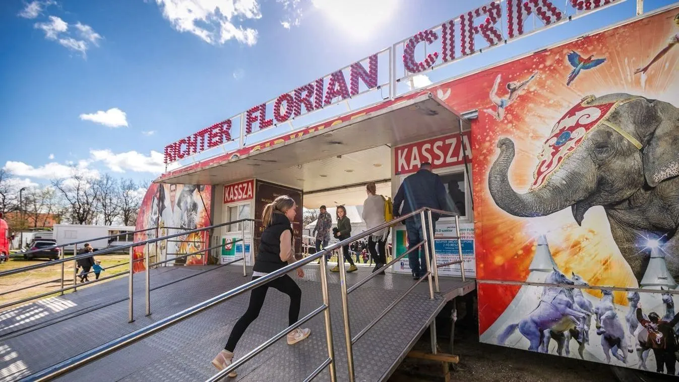 Megszólalt a Richter Flórián Cirkusz igazgatója