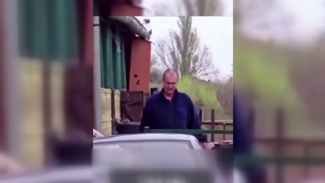 Szabálytalanul rendel állatorvosként a szigetvári polgármester + videó