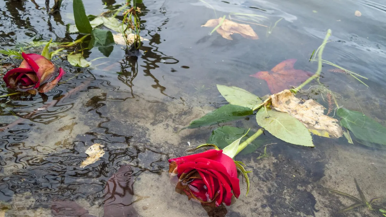 Verőcei hajóbaleset - egy fiatal nő holttestére bukkantak + videó