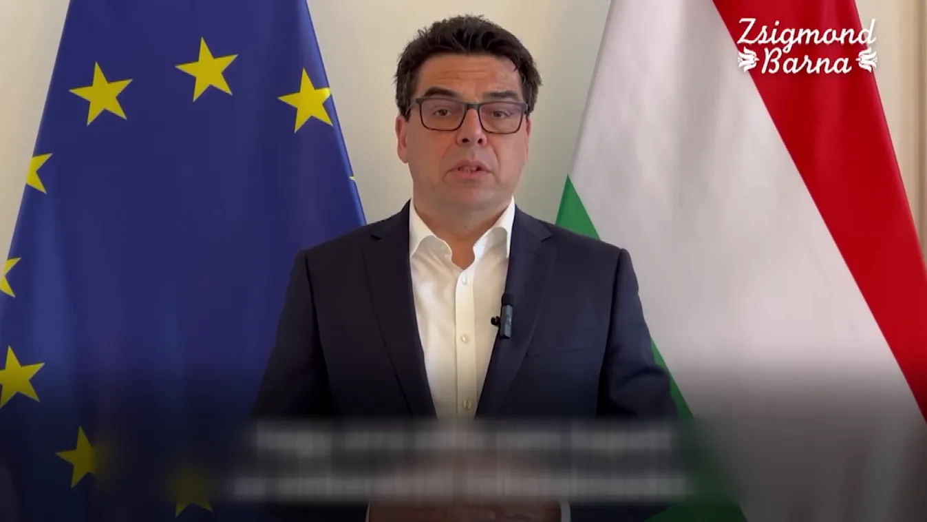 Zsigmond Barna Pál: Brüsszelben változás kell + videó