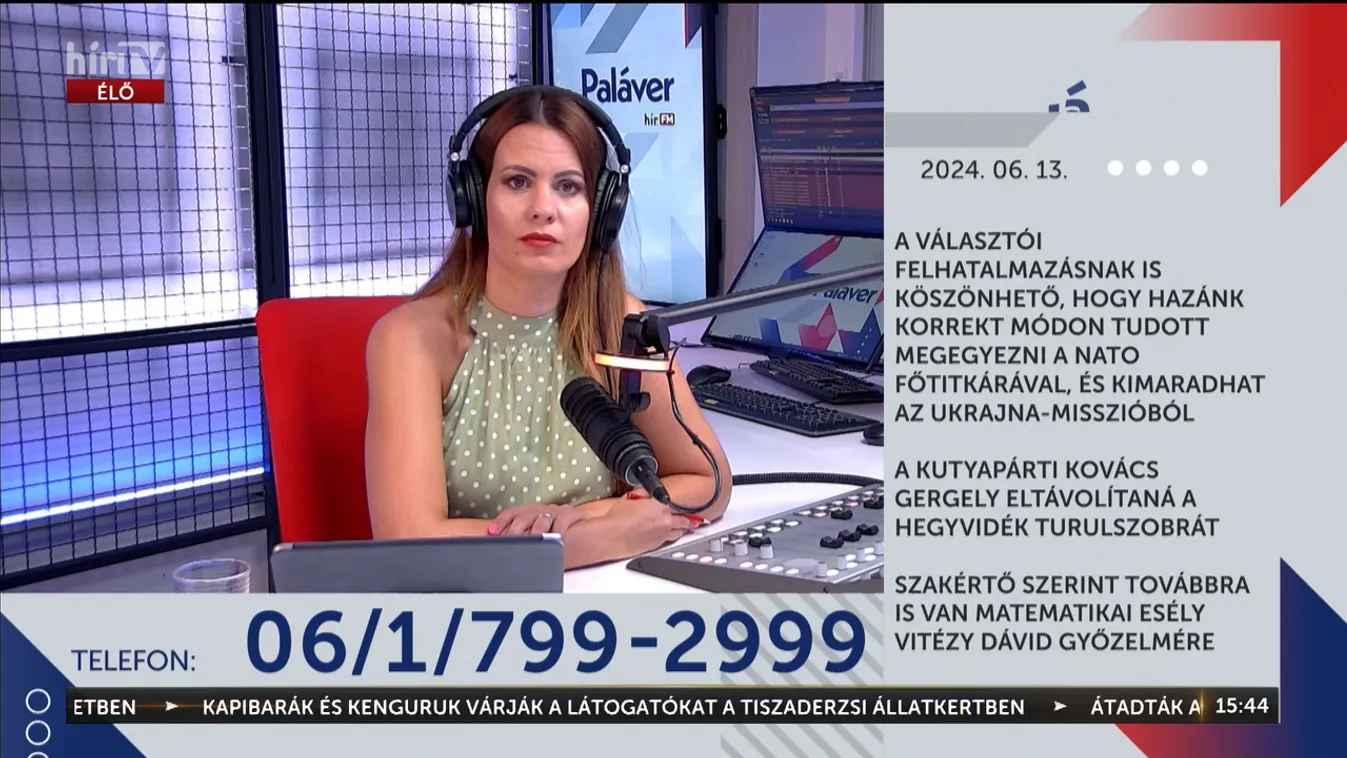 Paláver – A kutyapárti Kovács Gergely eltávolítaná a Hegyvidék turulszobrát + videó