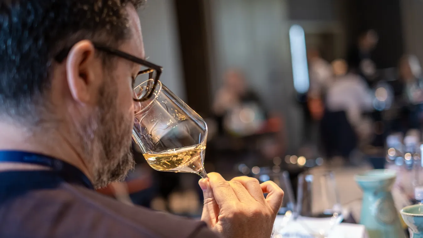 Magyarország volt a legeredményesebb az olaszrizlingek világbajnokságán