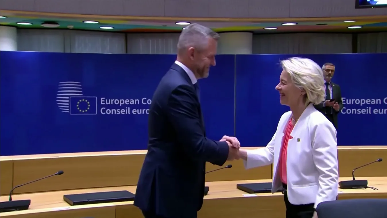 Az Európai Konzervatívok és Reformisták az Európai Parlament harmadik legnagyobb képviselőcsoportja + videó