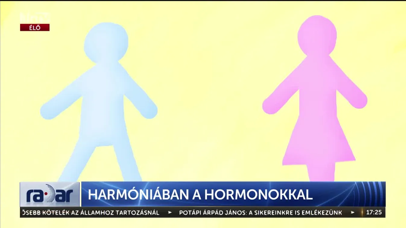 Radar - Harmóniában a hormonokkal