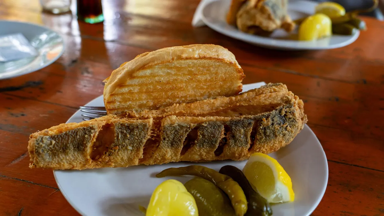 Ötven új hely a Magyar Konyha Balaton 2024 Gasztrokalauzában