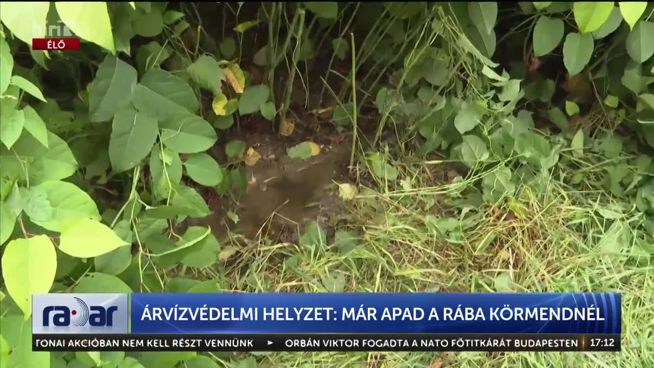 Radar - Árvízvédelmi helyzet: már apad a Rába Körmendnél
