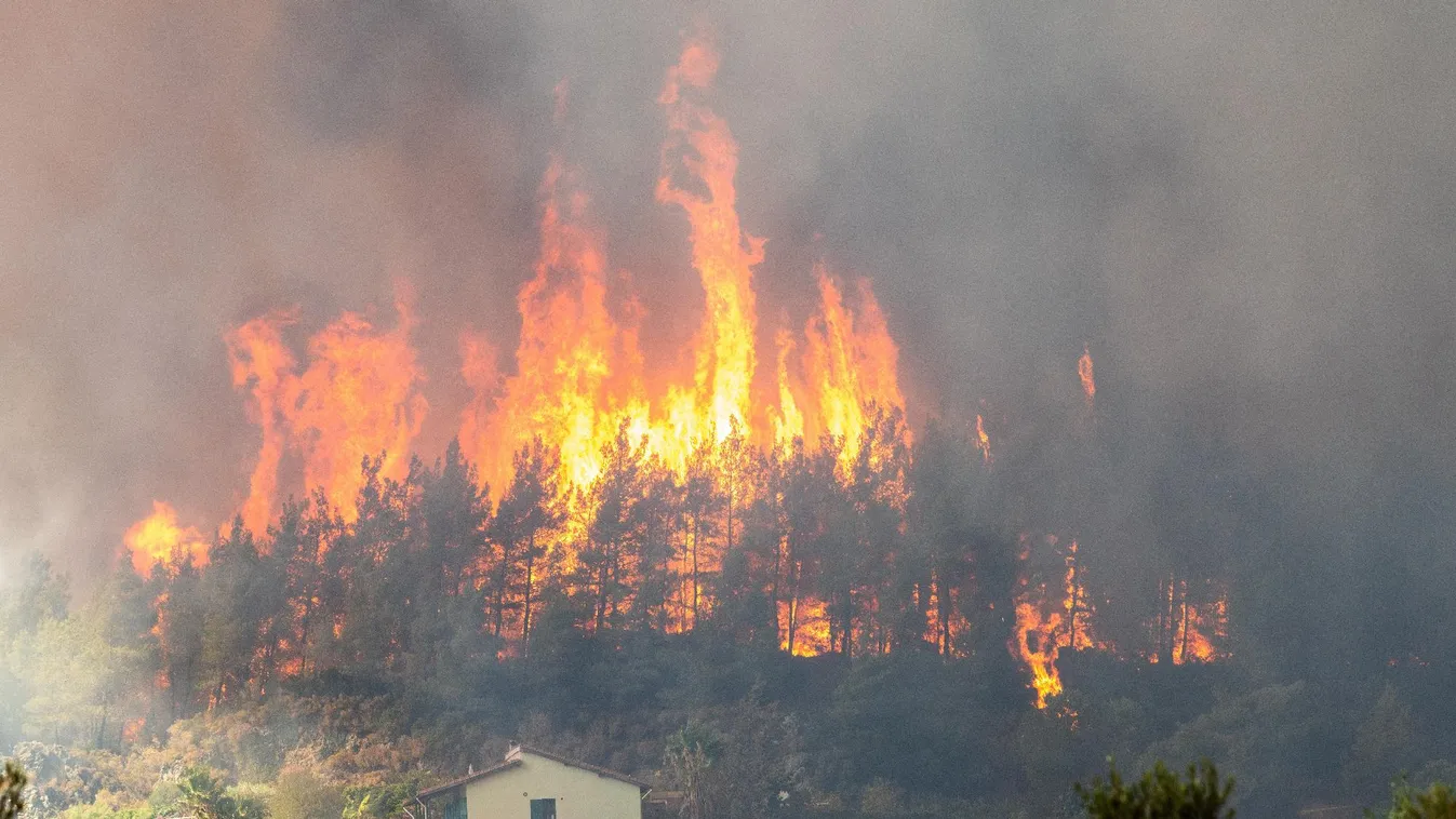Halálos áldozatokat követelt az erdőtűz Törökországban