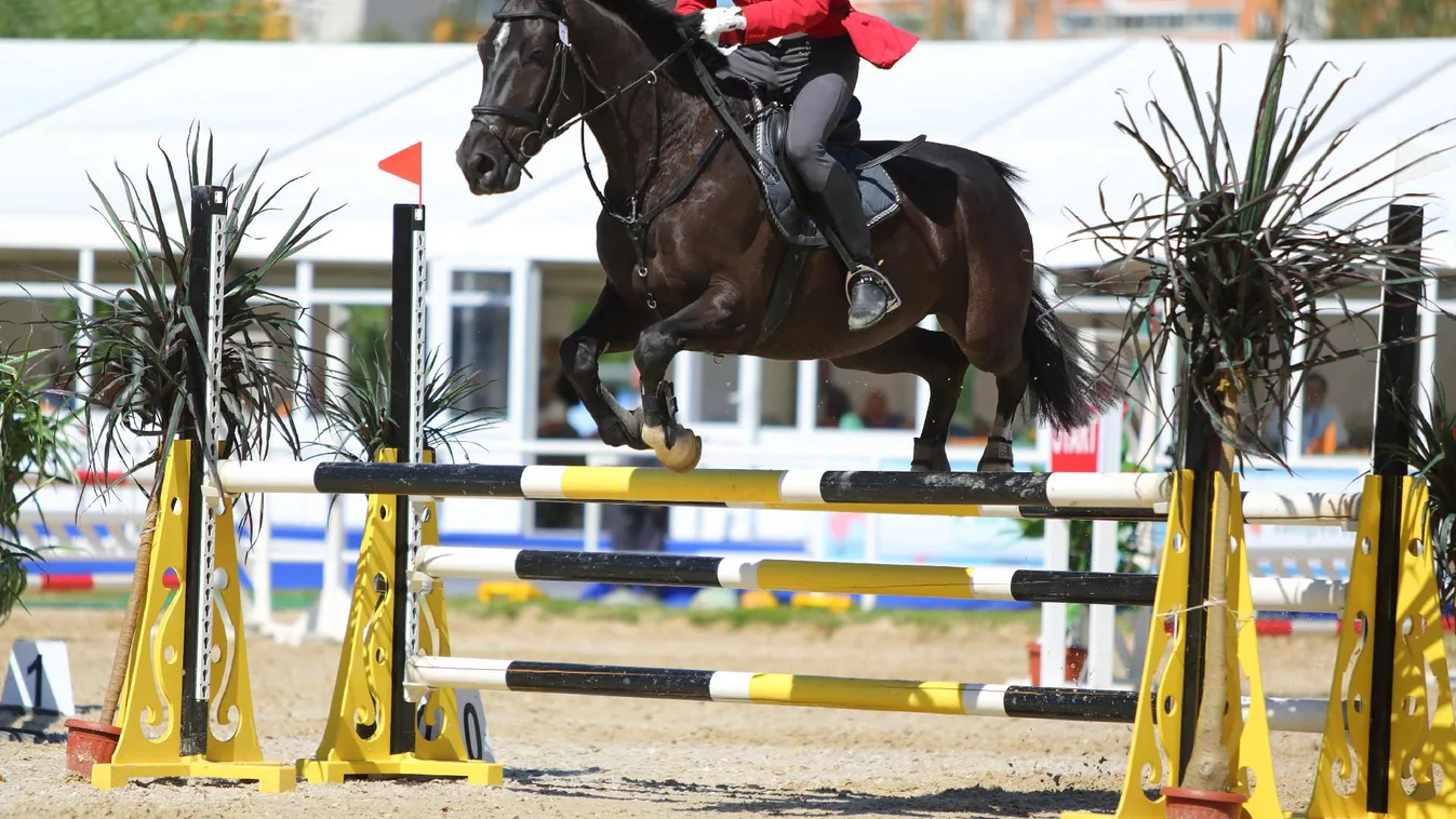 Taroltak a magyarok a világbajnokságon + videó