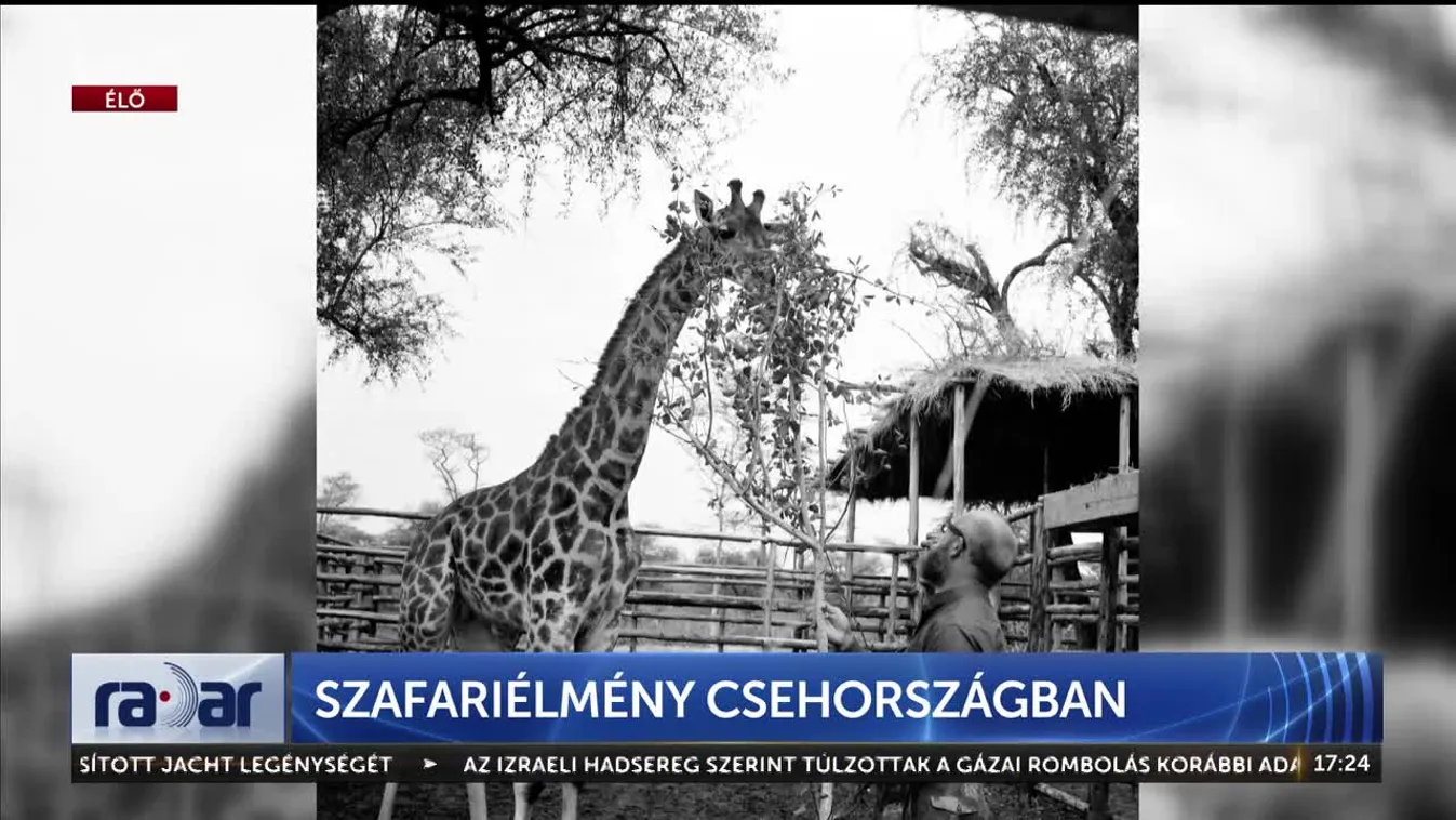 Radar - Szafariélmény Csehországban