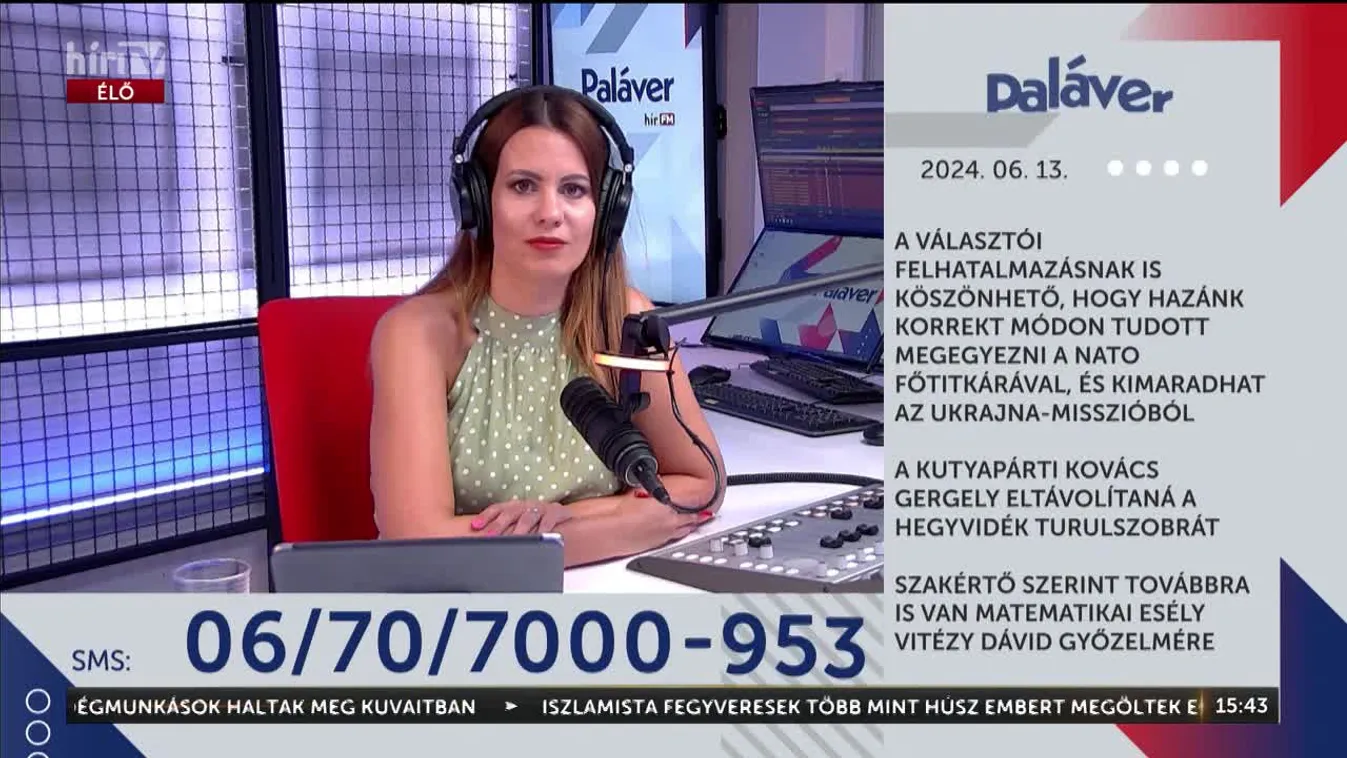 Paláver – A kutyapárti Kovács Gergely eltávolítaná a Hegyvidék turulszobrát