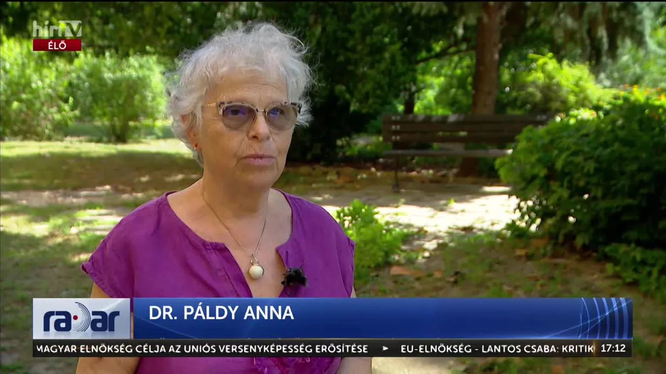 Radar - Az extrém hosszan tartó kánikula hatásai