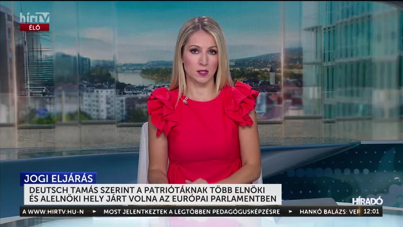 Deutsch Tamás szerint a patriótáknak több elnöki és alelnöki hely járt volna az Európai Parlamentben