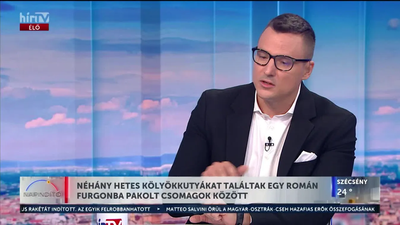 Napindító - Néhány hetes kölyökkutyákat találtak egy román furgonba pakolt csomagok között