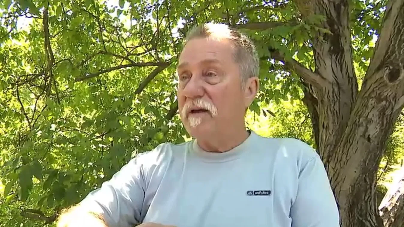 Ingyenes telefonos applikációval bővült a gondosóra-program + videó