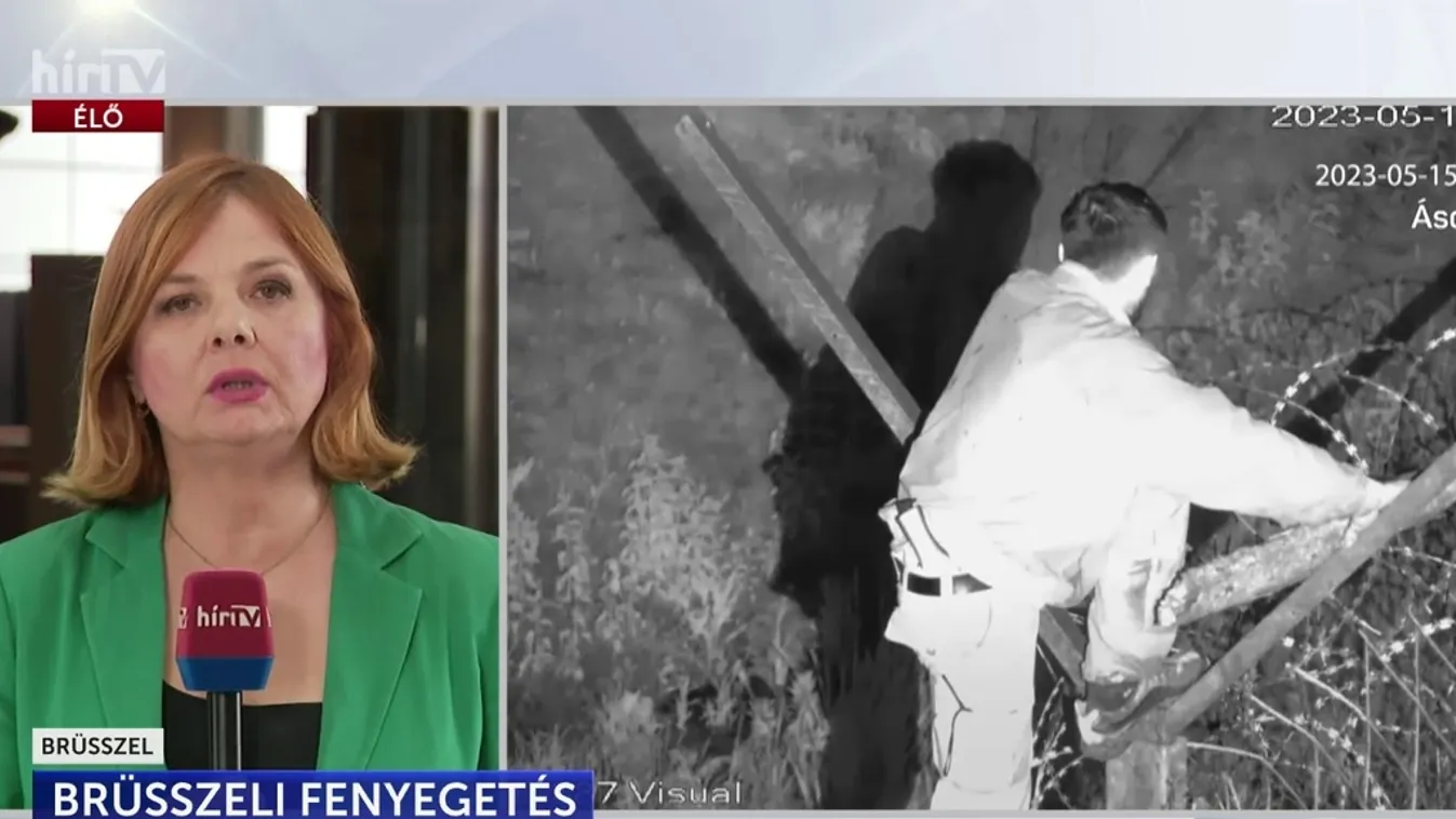 Kétszázmillió euró megfizetését várják el Magyarországtól + videó