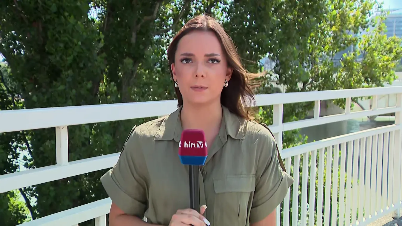 Egy év alatt több mint 2500 gyorshajtót fogtak az Árpád hídon + videó