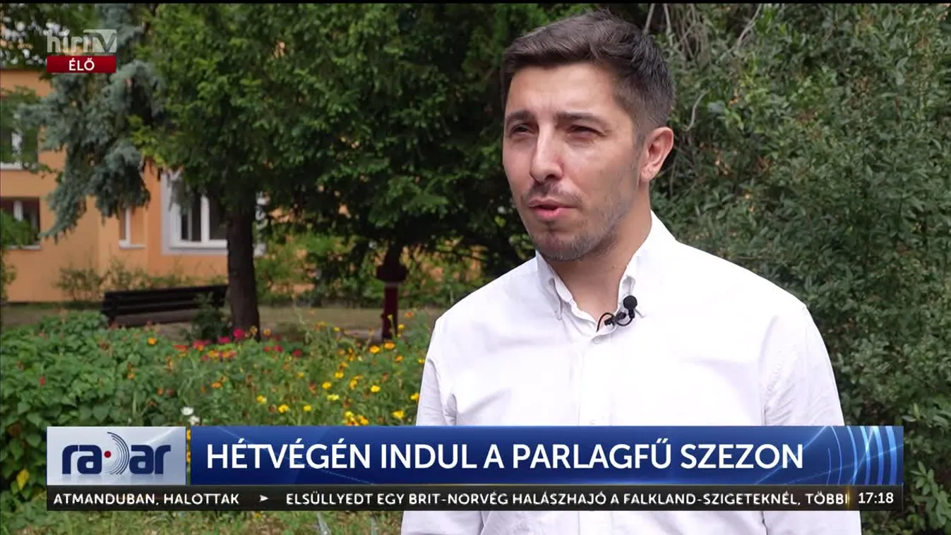Radar - Hétvégén indul a parlagfű szezon (2024-07-24)