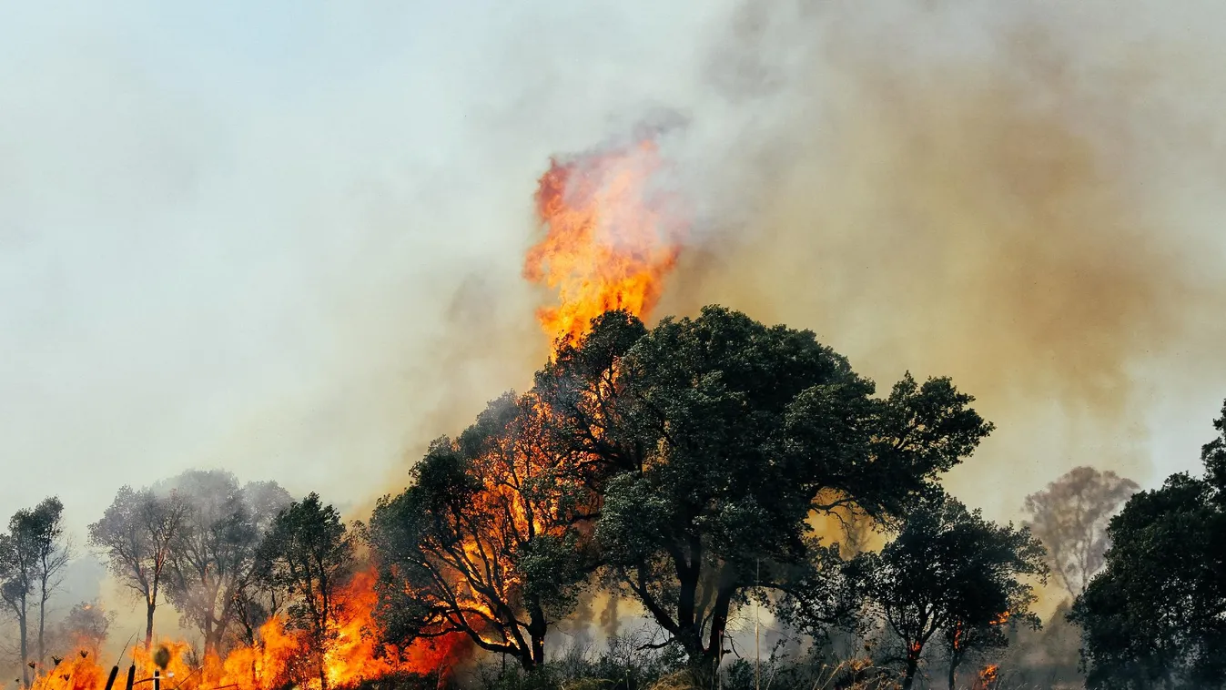 Újabb erdőtüzek pusztítanak a görög Híosz és Kósz szigeteken