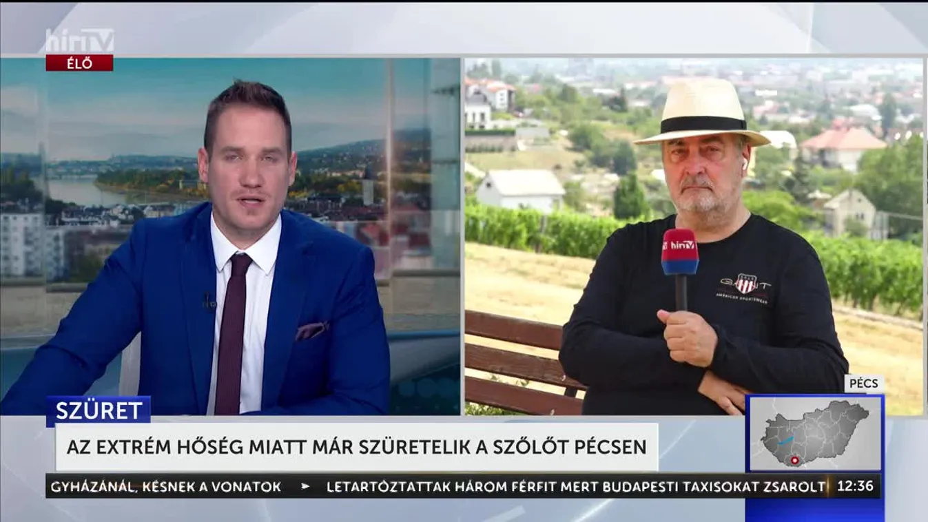 Az extrém hőség miatt már szüretelik a szőlőt Pécsen