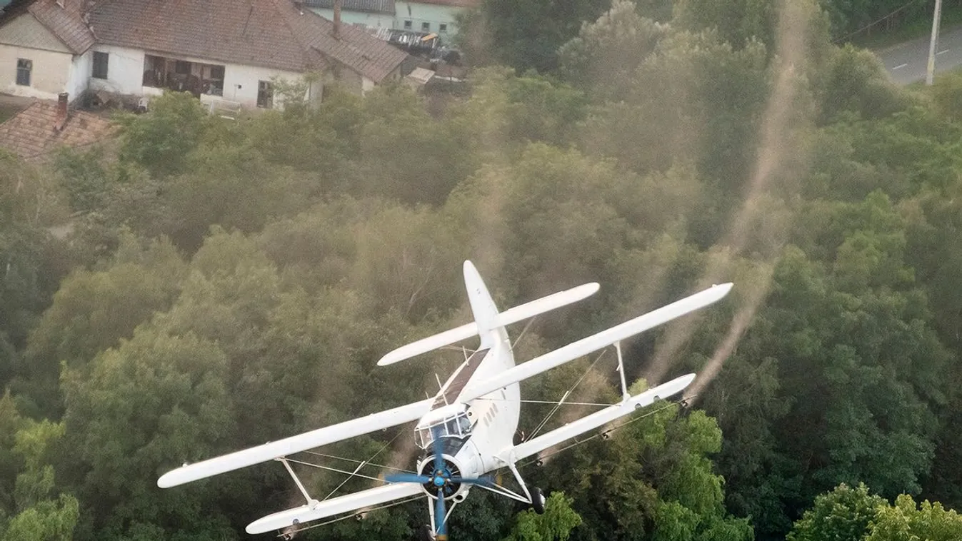 A tiszti főorvos engedélyezte a kémiai szúnyoggyérítést