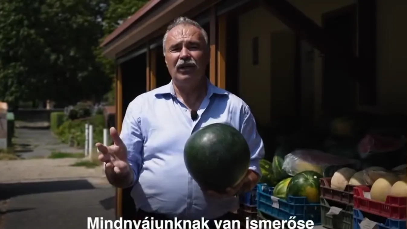 Nagy István: Segítsünk a magyar termelőkön, és válasszuk a hazai dinnyét!