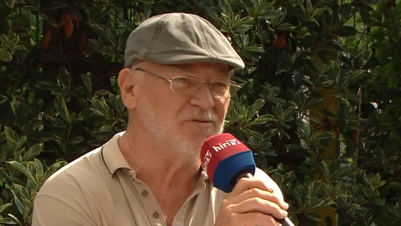 Napindító: Feltakarás címmel nyílt meg Géczi János képzőművész dekollázs tárlata a Műcsarnokban + videó