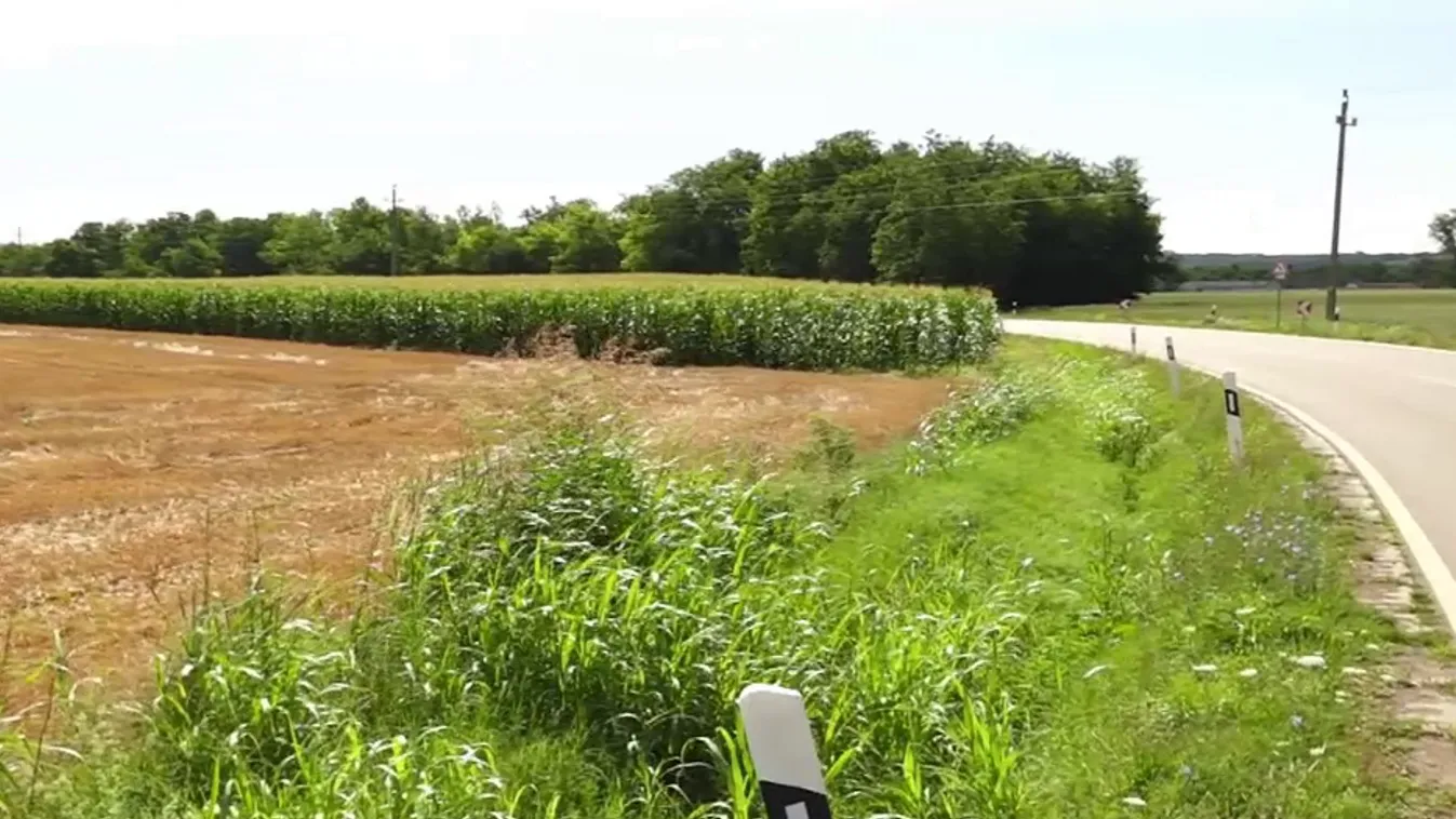 Az ipari parkba települő vállalkozások fellendíthetik Baranya vármegye gazdaságát + videó