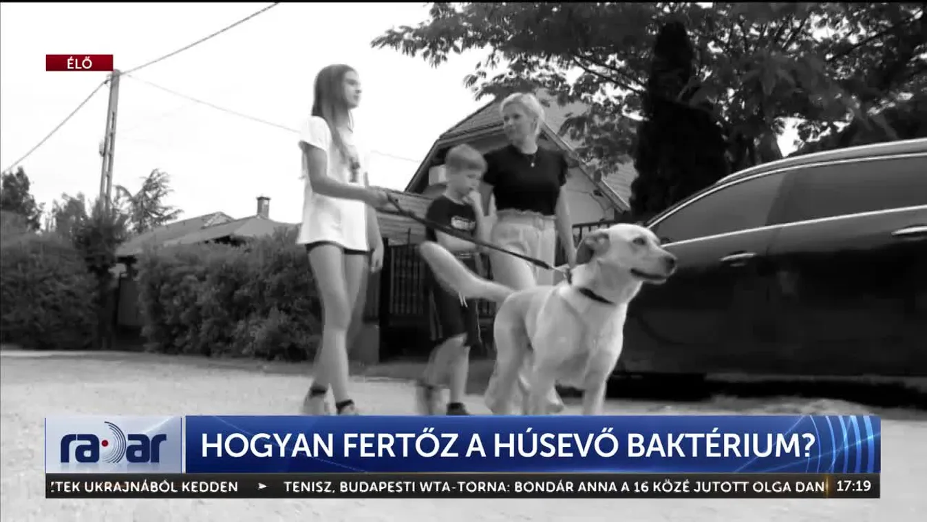 Radar - Hogyan fertőz a húsevő baktérium? (2024-07-17)