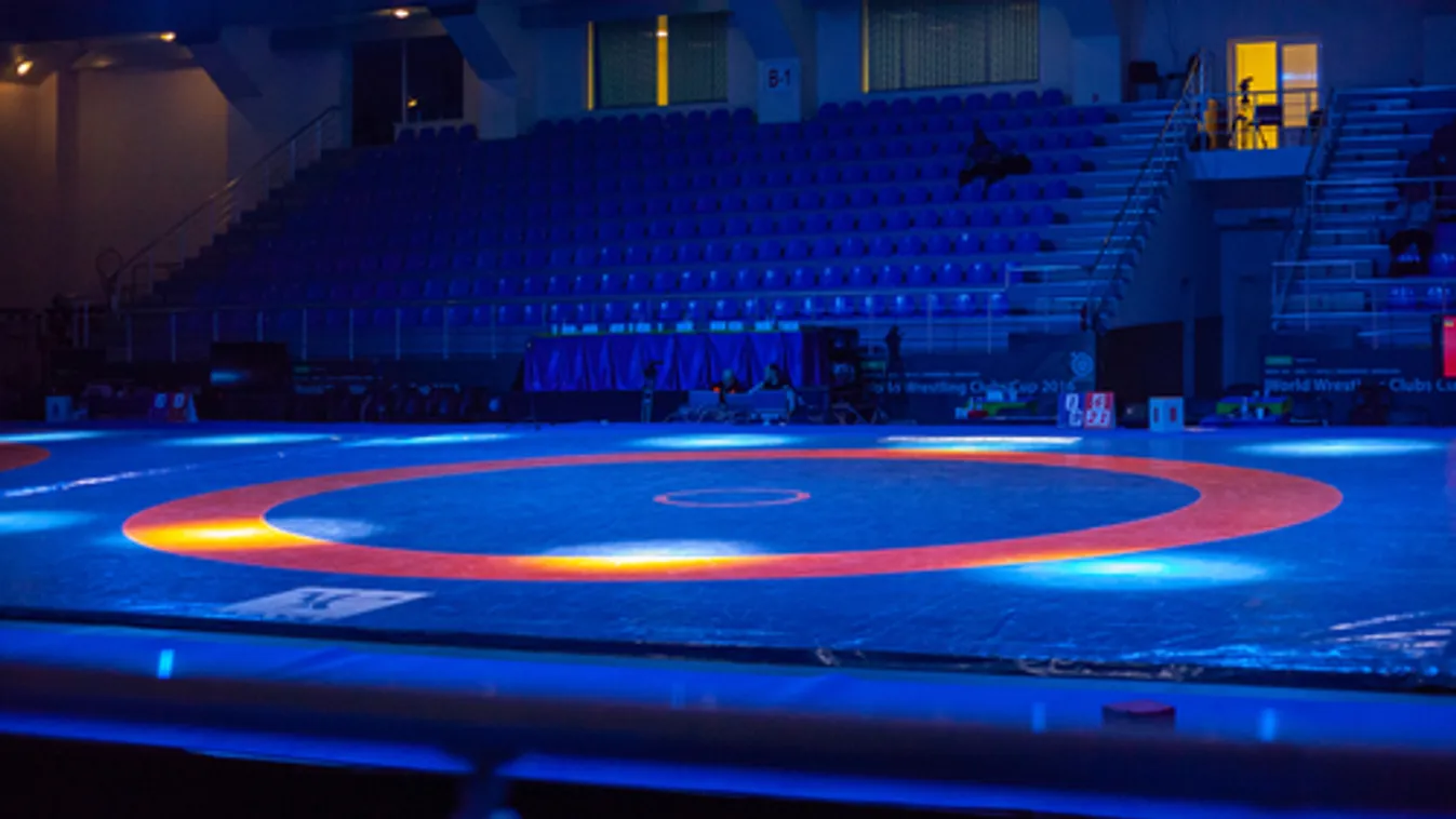 Elhunyt a georgiaiak 27 éves birkózó világbajnoka