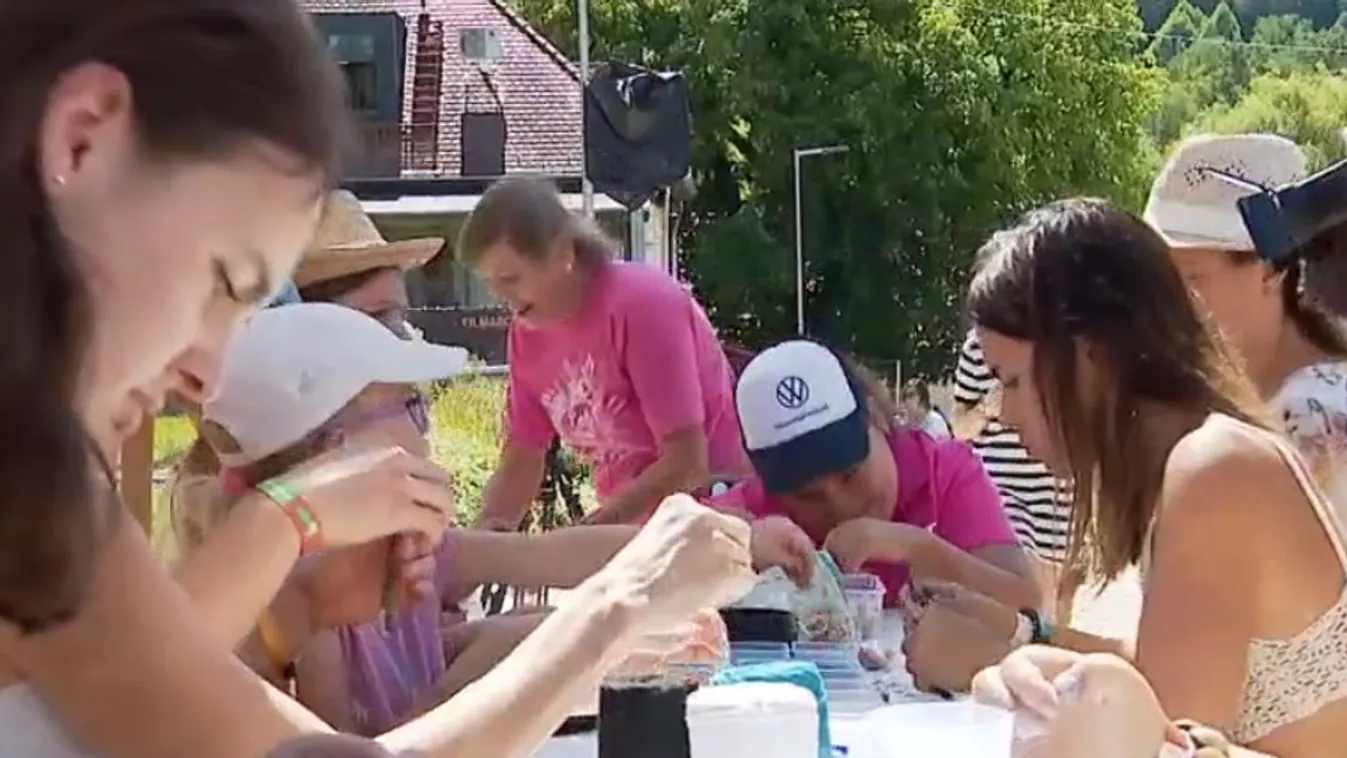 Mozgáskorlátozott fiatalokat láttak vendégül a családjukkal együtt a Művészetek Völgyében + videó