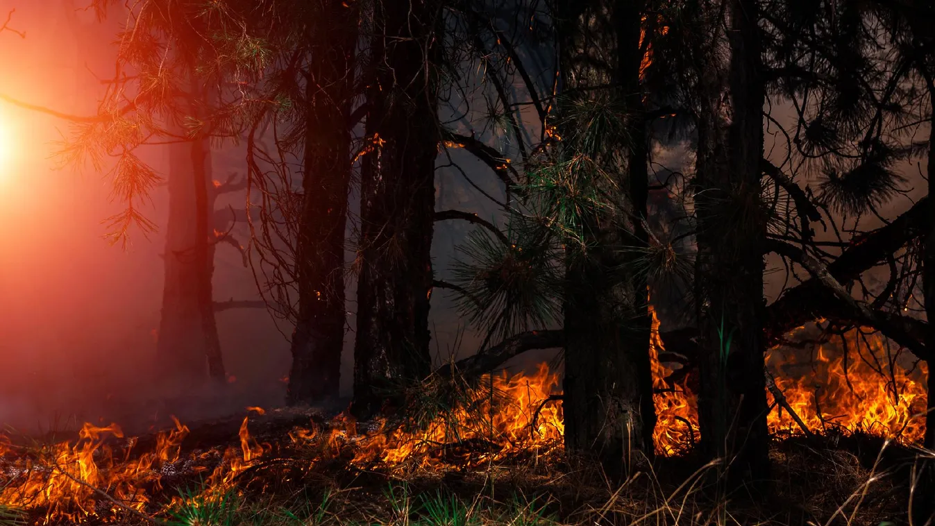 A rekordmagas hőmérséklet miatt további tűzgyújtási tilalom lépett életbe