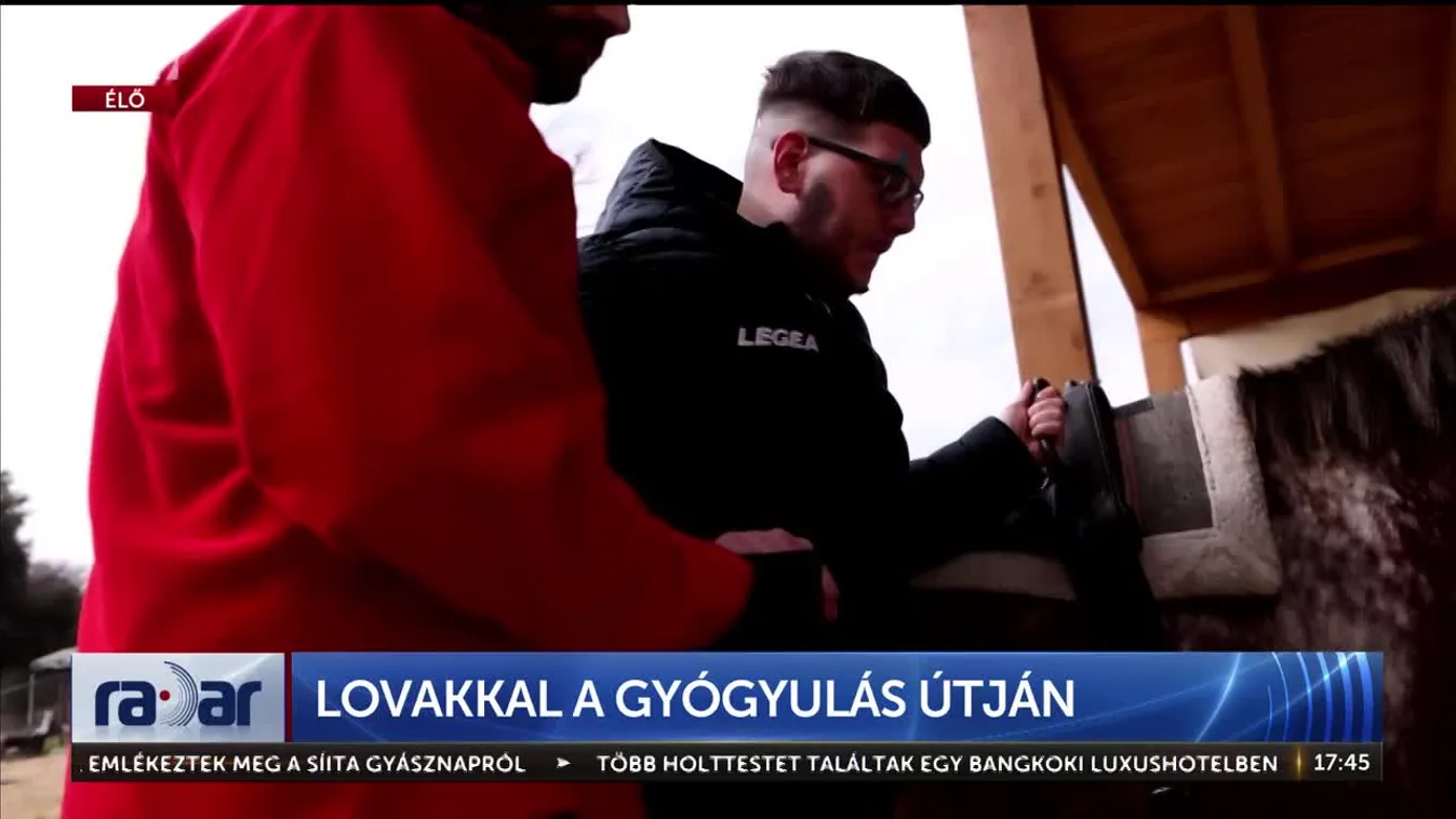 Radar - Lovakkal a gyógyulás útján