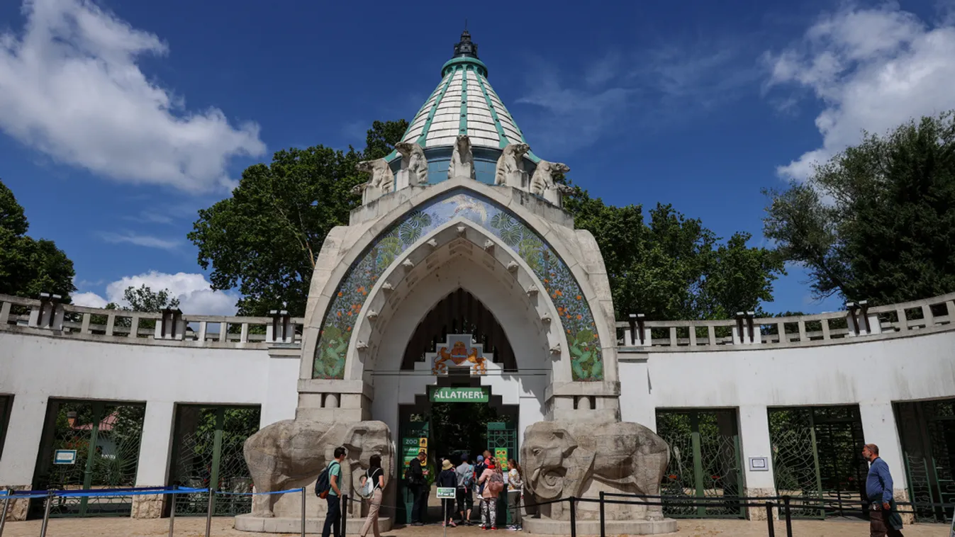 Állatkertek éjszakája - állatbemutatók, ismeretterjesztő előadások a Fővárosi Állat- és Növénykertben